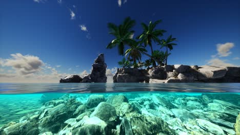 Split-view-cross-section-of-sea-water-and-palm-trees-on-Island